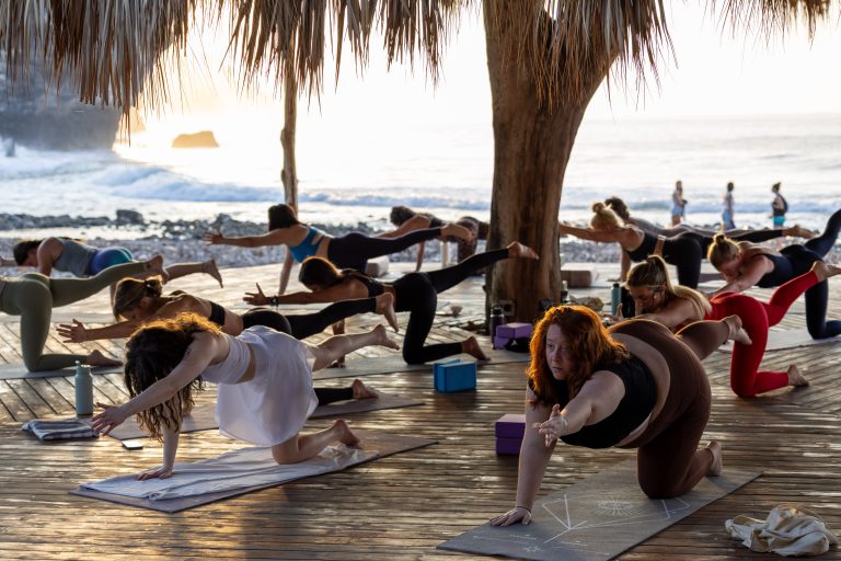 copy of copy of 0m6a3605