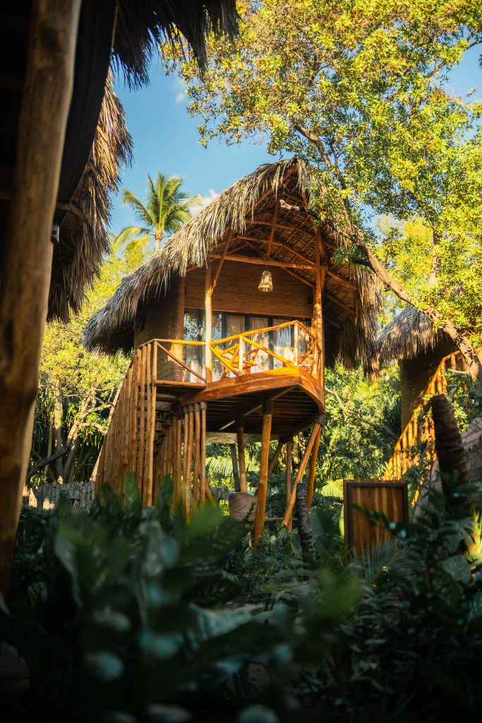 copy of nawi mizata 19 jungle treehouse