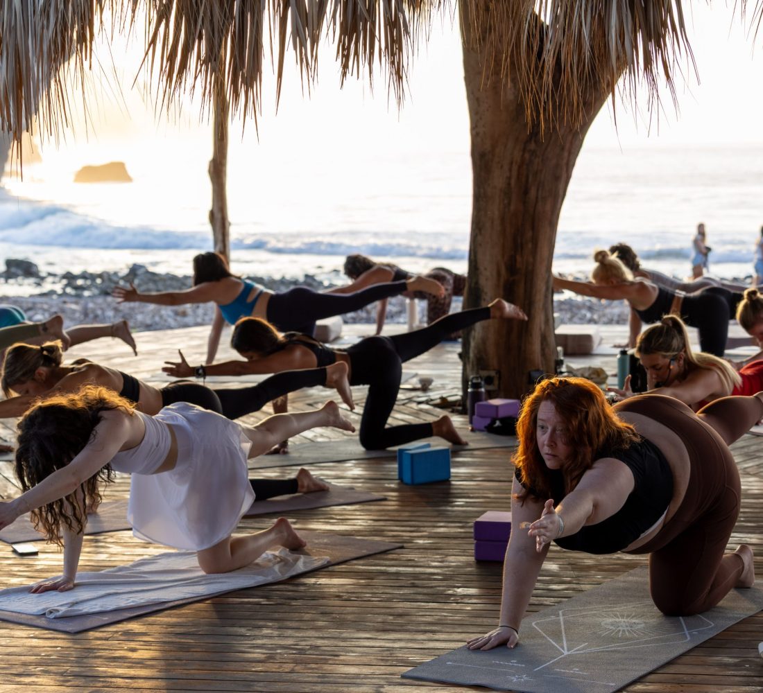 copy of copy of 0m6a3605